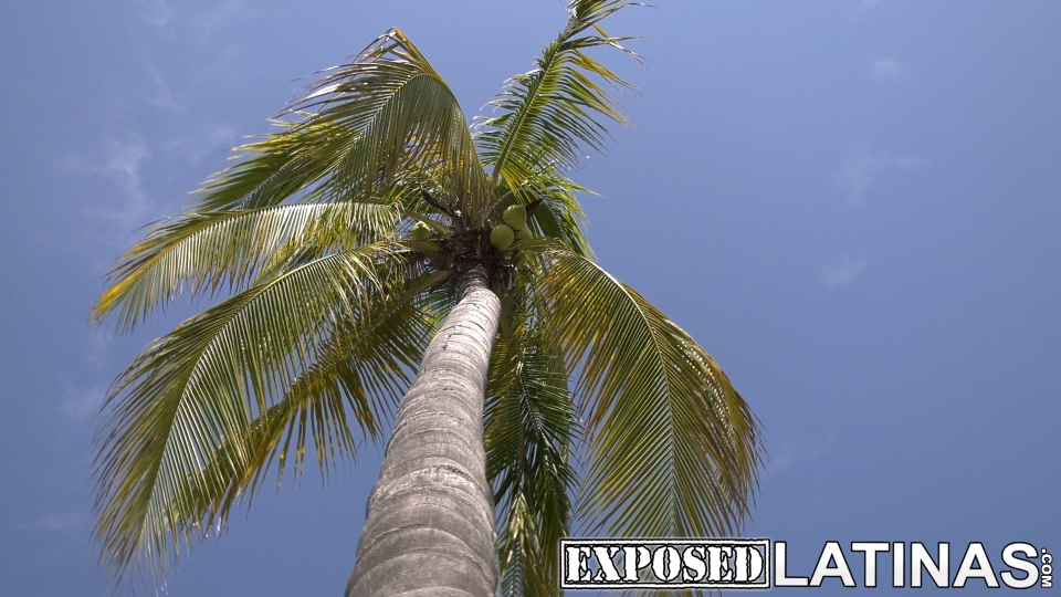 SEXMEX Latina stepdaughter blowjob in the car and fucked outdoors . Caramelo