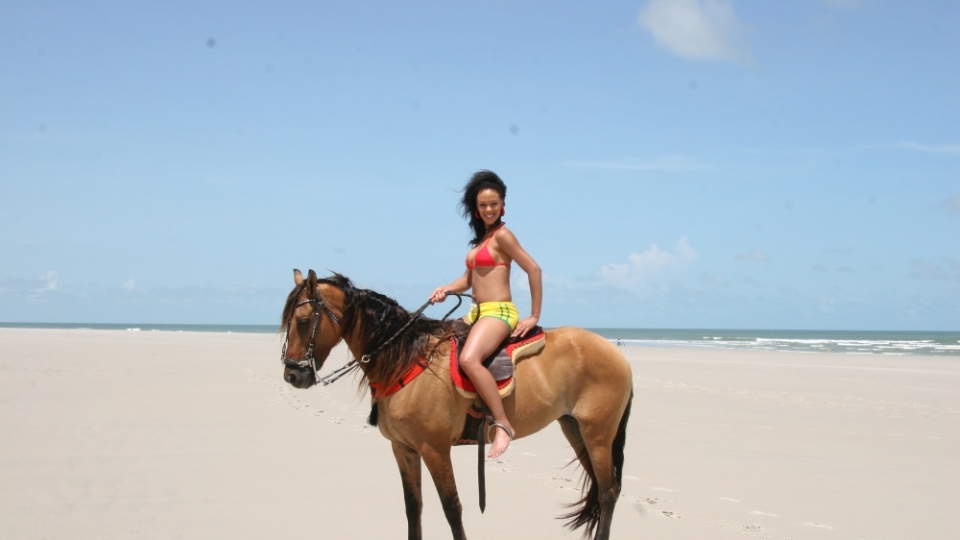 SEXMEX SALVA UN CABALLO, MONTA UN VAQUERO