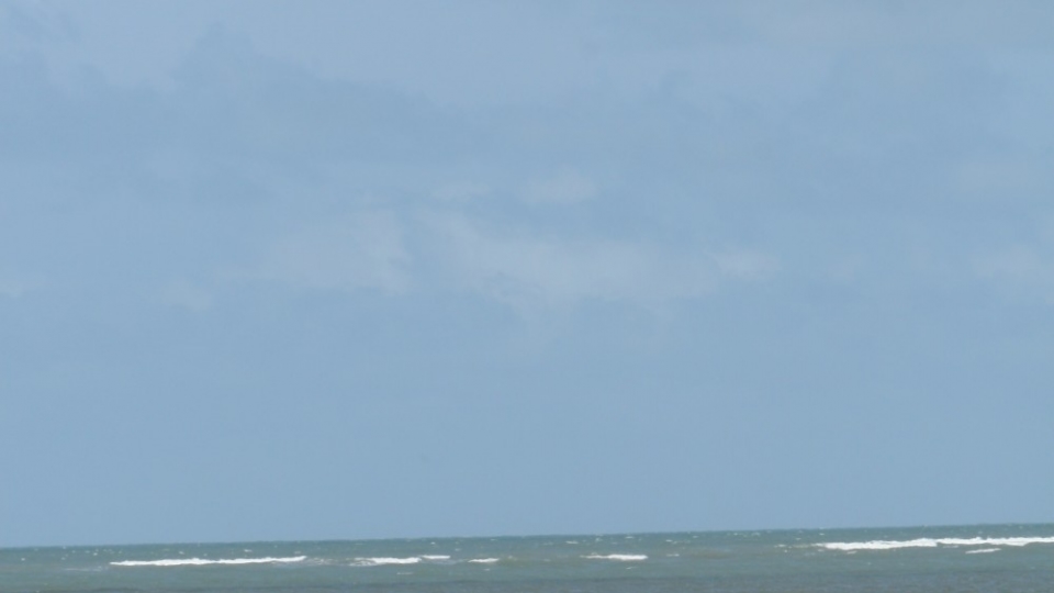 SEXMEX SAVE A HORSE RIDE A COWBOY